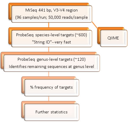 protocol of analyses